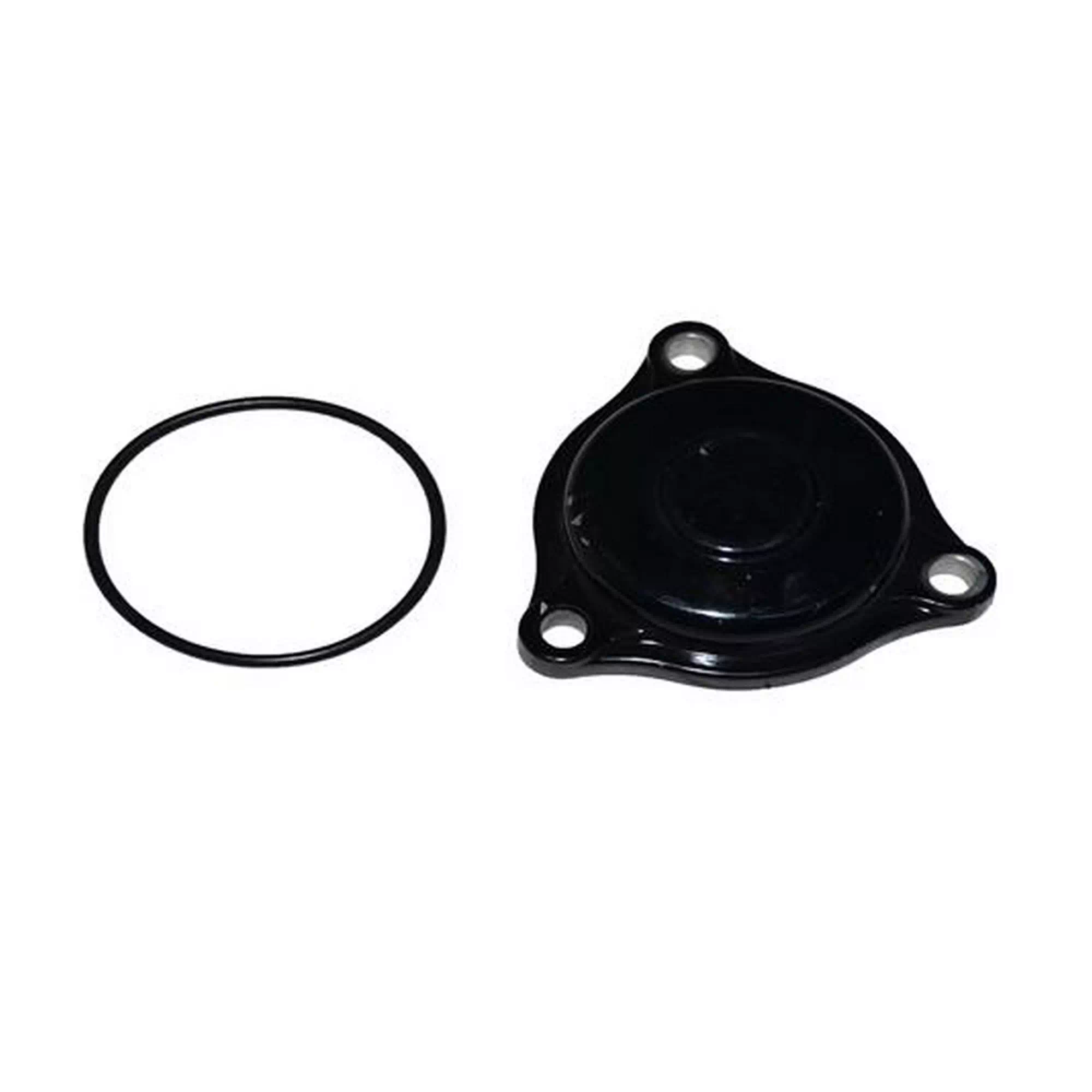 RKS XVR 250 YAĞ FİLTRE KAPAĞI TAKIM [BLACKWOLF] #RK 47039